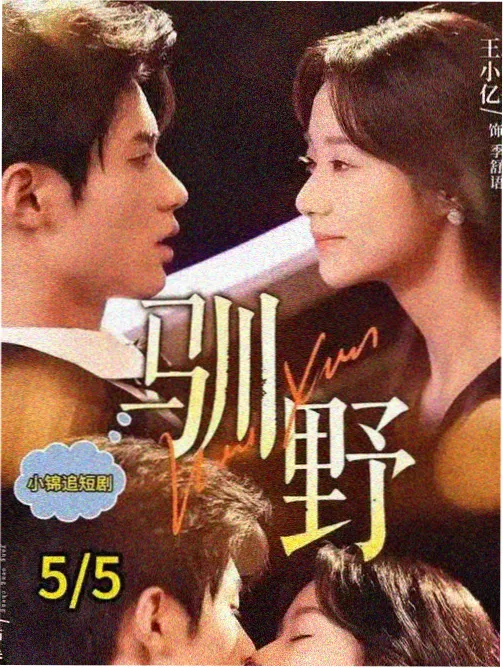 南派档案馆电视剧免费播放 大电影